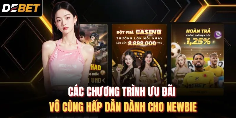 Các chương trình ưu đãi vô cùng hấp dẫn dành cho newbie