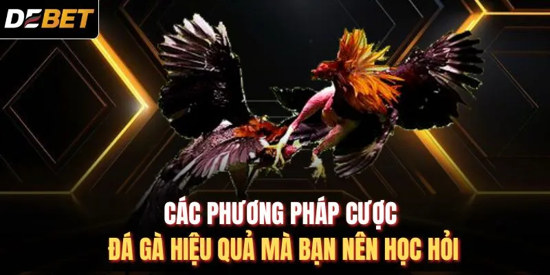 Các phương pháp cược đá gà hiệu quả mà bạn nên học hỏi