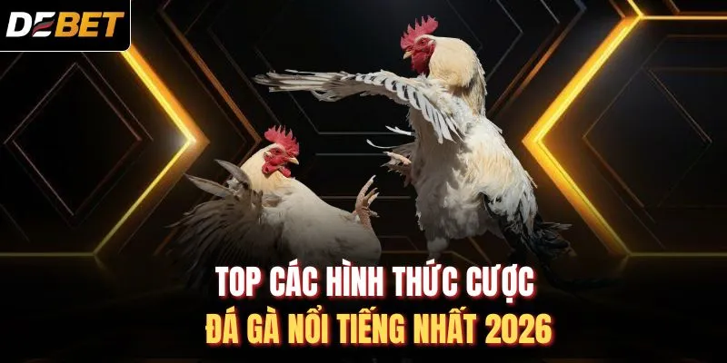 TOP các hình thức cược đá gà nổi tiếng nhất 2026